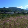 田舎暮らしの夢を棚上げする・・