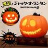 【即日発送×後払い】ハロウィン部屋飾り4選｜かぼちゃ・クモの巣も