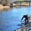 1月6日(土)本流にじます釣場(秩父地区)の河川情報