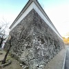 玖島城の石垣と塀