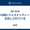 目の前にジャスミンティーをお出しされている
