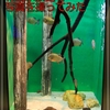 【撮影】愛知県蒲郡市の竹島水族館に行ってきました
