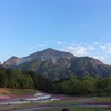 埼玉県の秩父、羊山公園に行って来た！