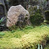 御岩神社でパワースポットを巡りながら人の縁とかを考えてみたり