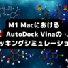 M1チップ搭載の MacBook Air におけるAutoDock Vina (1.2.2) の使い方とドッキングシミュレーションについて