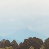 今朝の景色