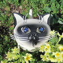 心ころころ♡コロコロ「こころ」