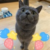㊗️アサリ4歳！！！人間でいうと32歳！！！㊗️