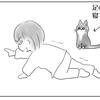 悲しいかな、猫と美容は反比例