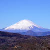 白梅ほころび