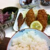  （小田原市）早川で昼食