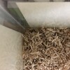しろあん627日目