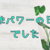 朝からでっかい蛇に遭遇した日の雑記