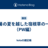 酷暑の夏を越した宿根草の一覧（PW編）