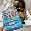 おもちゃで楽しく歯磨きできるかな？