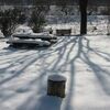 春待ちのなごり雪