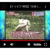 A Japanese TV show a competition between feral cats to see the heaviest fish a cat can deadlift. (「野良猫は何キロの魚まで持ち上げられるか？」2005年5月放送 『トリビアの泉』)
