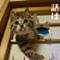 お前ら、一生ネット使うな。