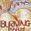 『BURNING FARM』少年ナイフ（MCA）★★★★☆