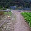 紅葉を求めて、おお楓 〜 切久保蕎麦へ　と　オマケと