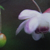 ９月４日　誕生日の花・花言葉・歌句