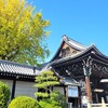 【京都】『西本願寺』特別公開に行ってきました。 女子旅 京都紅葉