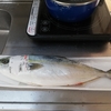 自炊生活　たのしく　魚料理(^^♪