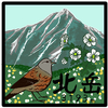  北岳に来ただけじゃない