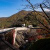 【写真】スナップショット（2018/11/11)大野ダムの紅葉その2