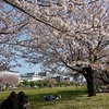 学園の杜でビール片手にお花見