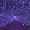 イベントレポート２時之栖に着ぐるみたくさん