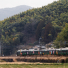 2025/03/02 787系Bo-6106編成 ピクミン3号