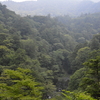 夏の終わりのヌル谷遊山　渓の道