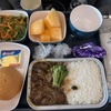 【搭乗記】中国国際航空ヨーロッパ便の機内食は？スウェーデン旅行で羽田-北京-ストックホルム往復便の機内食・座席・モニター・獲得マイル・オンラインチェックインなどエアチャイナ実体験紹介(CA184/CA912/CA911/CA183)