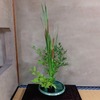 『蒲（ガマ）の穂』 