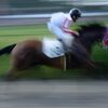 高ボッチ草競馬大会