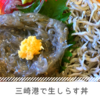 生しらす丼がめちゃうまぁぁぁ！な三崎港の『本まぐろ 海の幸』