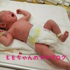 ももちゃん誕生