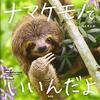 ナマケモノに癒される本「ナマケモノでいいんだよ」ルーシー・クック