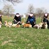川崎コーギーズオフ会（引地川親水公園）①