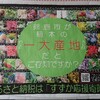 鈴鹿市が、植木の一大産地