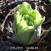 稀勢の里と権藤博