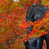 今年も撮りに行きたい「平等寺」の紅葉