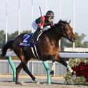 風立ちぬ競馬予想