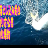 玄界灘の落とし込み釣りブリ釣り爆釣仕掛け、釣り方公開