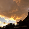 冬晴れの朝、62歳の大晦日。何をする？ #写真 #冬