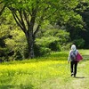 2025年4月26日（土） 松江〜安来２泊３日  Day 3