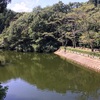 【鎌倉】朝食を食べに静かな散在ガ池森林公園へハイキング