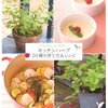 我が家の植物たちの生命力はすごいぞ～～