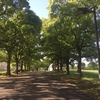 すっかり初夏の陽気